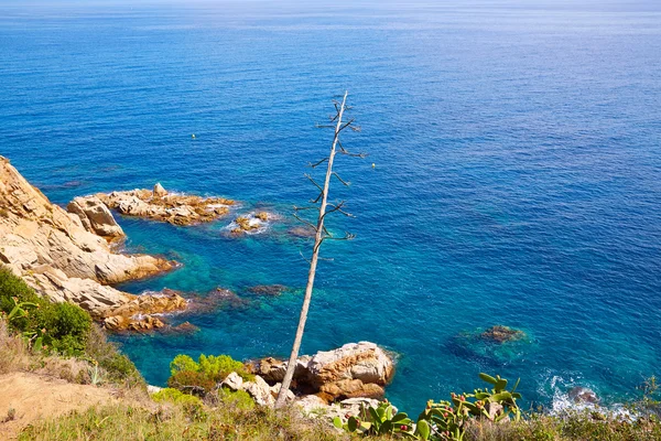 Costa Brava strand Lloret de Mar, Catalonië Spanje — Stockfoto