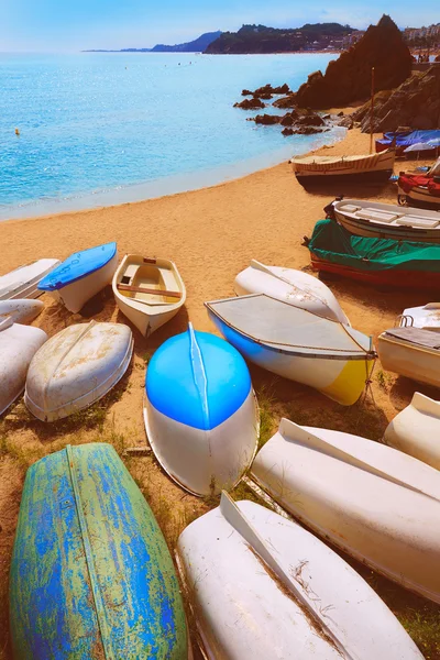 Bir Lloret de Mar Sa Caleta Beach'te costa Brava — Stok fotoğraf