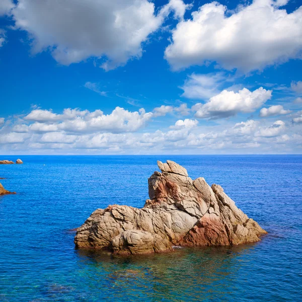 Costa Brava Lloret de Mar strandjától Camins de Ronda — Stock Fotó