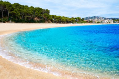 Platja Fenals Beach Lloret de Mar Costa Brava