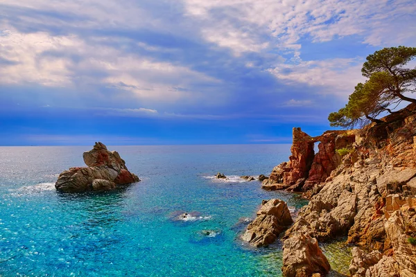 Cami de Ronda trilha Lloret de Mar da Costa Brava — Fotografia de Stock