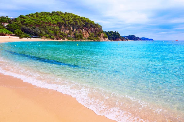 Санта-Кристина-Кала пляж Льорет-де-Мар на побережье Коста Брава — стоковое фото