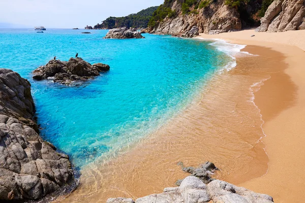 Cala sa boadella platja strand in lloret de mar — Stockfoto