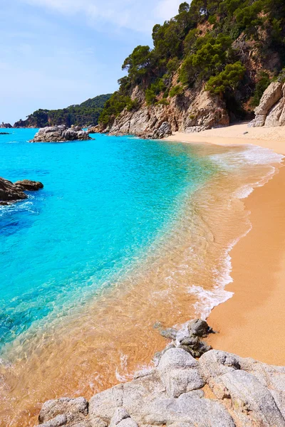 Cala Sa Boadella platja beach in Lloret de Mar — Stock Photo, Image