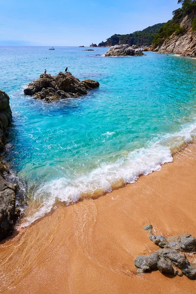 Cala Sa Boadella praia de platja em Lloret de Mar — Fotografia de Stock