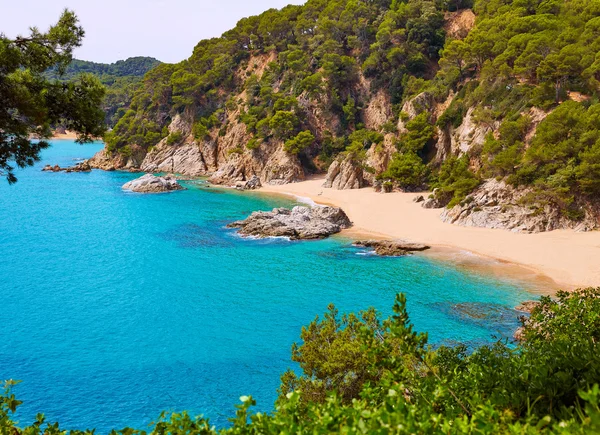 Pláž Cala Sa Boadella platja v Lloret de Mar — Stock fotografie