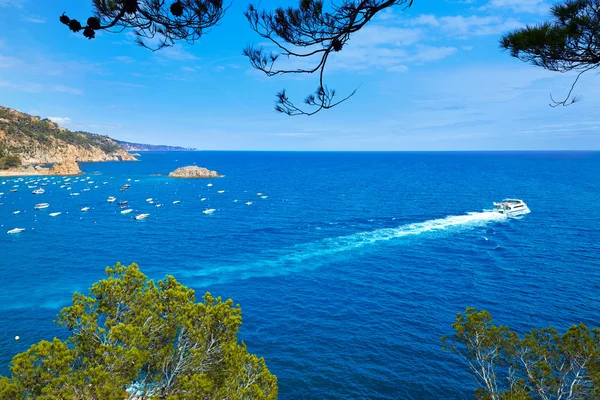 Tossa de Mar Vista aérea en la Costa Brava de Girona —  Fotos de Stock