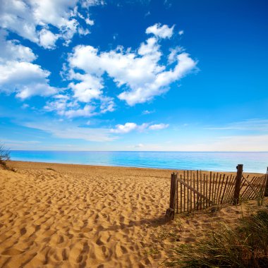 Cape Cod ringa Beach Massachusetts bize koy