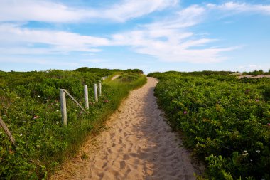 Cape Cod ringa Beach Massachusetts bize koy