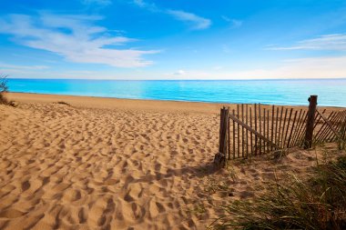 Cape Cod ringa Beach Massachusetts bize koy