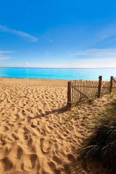 Cape Cod haring Cove strand Massachusetts ons — Stockfoto