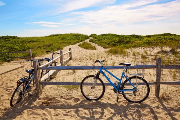 Cape Cod ringa Beach Massachusetts bize koy — Stok fotoğraf