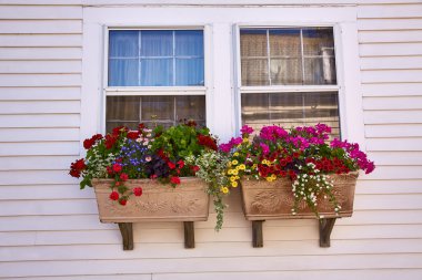 Cape Cod Provincetown Massachusetts bize