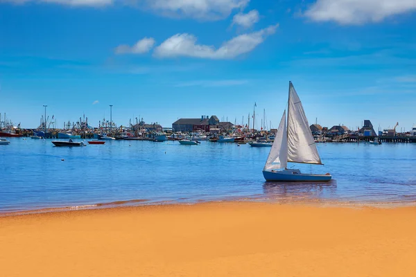 Praia de Cape Cod Provincetown, Massachusetts — Fotografia de Stock