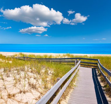 Cape Cod Sandy boyun Beach Massachusetts bize