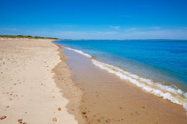 Cape Cod Sandy boyun Beach Massachusetts bize