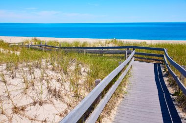 Cape Cod Sandy Neck Beach Massachusetts US clipart