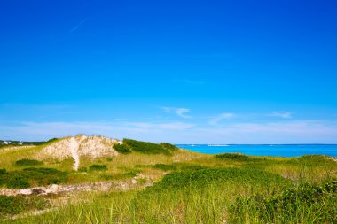 Cape Cod Sandy Neck Beach Massachusetts US clipart