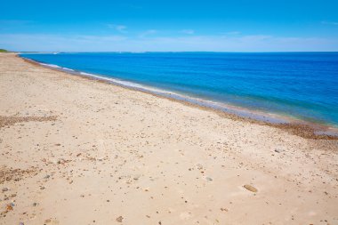 Cape Cod Sandy boyun Beach Massachusetts bize