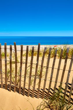 Cape Cod Sandy boyun Beach Massachusetts bize