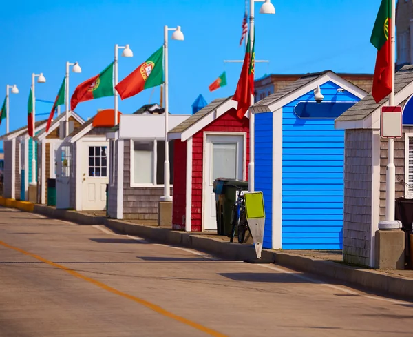 Порт Cape Cod Provincetown, Массачусетс нас — стокове фото