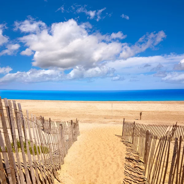 Cape Cod Sandy nyak Beach Massachusetts — Stock Fotó