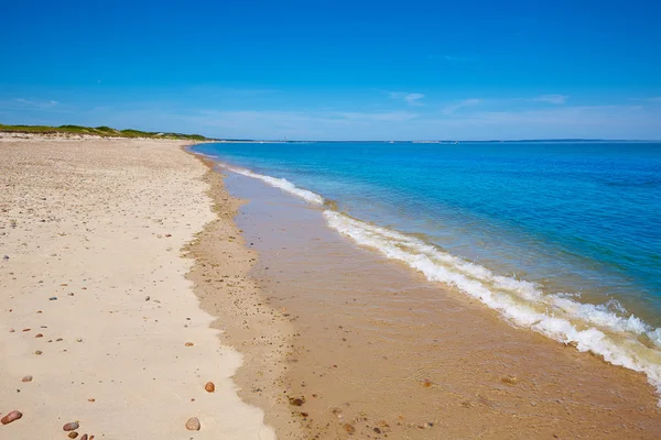 Cape Cod Sandy krk Beach Massachusetts nás — Stock fotografie