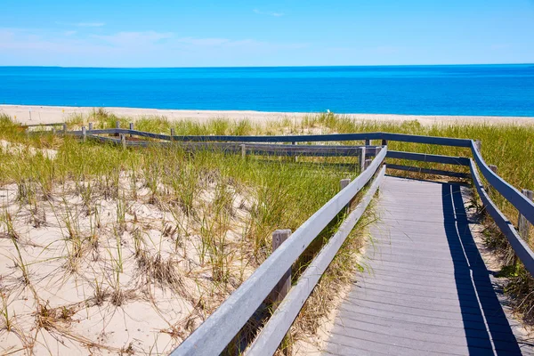 Cape Cod Sandy boyun Beach Massachusetts bize — Stok fotoğraf