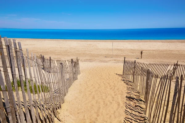 Cape Cod Sandy boyun Beach Massachusetts bize — Stok fotoğraf