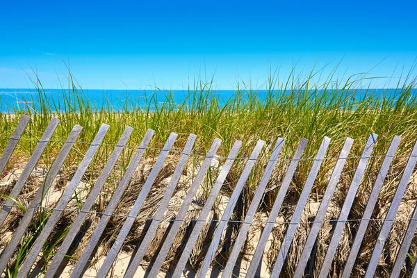 Cape Cod Sandy boyun Beach Massachusetts bize — Stok fotoğraf