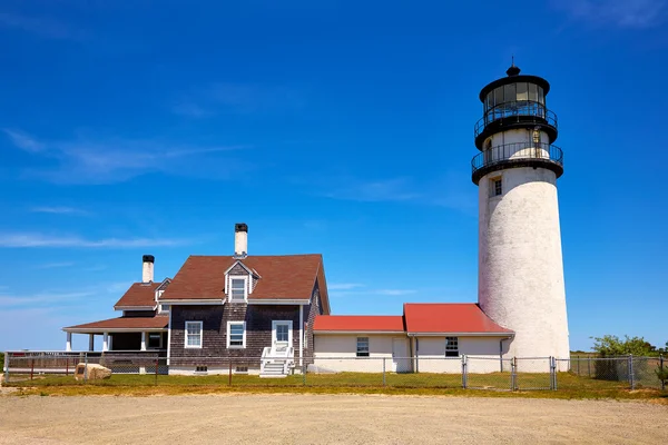 Latarni morskiej Cape Cod Truro, Massachusetts nas — Zdjęcie stockowe