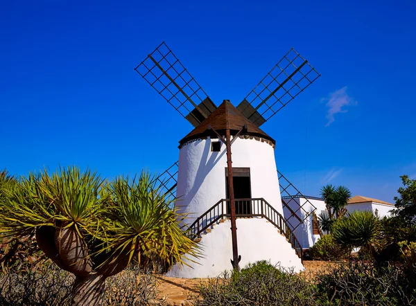 Moinho de vento de Antígua Fuerteventura nas Ilhas Canárias — Fotografia de Stock