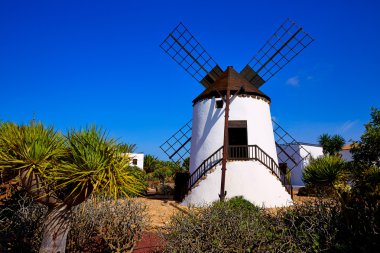 Antigua yel değirmeni Fuerteventura, Kanarya Adaları