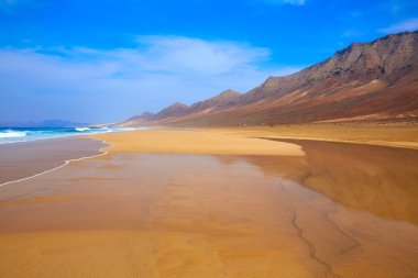 Cofete Fuerteventura kumsalda Kanarya Adaları