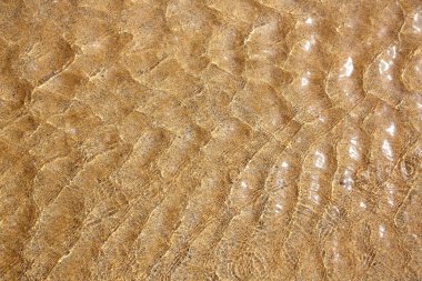 Atlantic beach su doku Kanarya Adaları