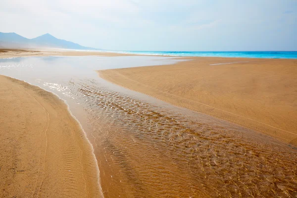 Stranden Cofete Fuerteventura på Kanarieöarna — Stockfoto