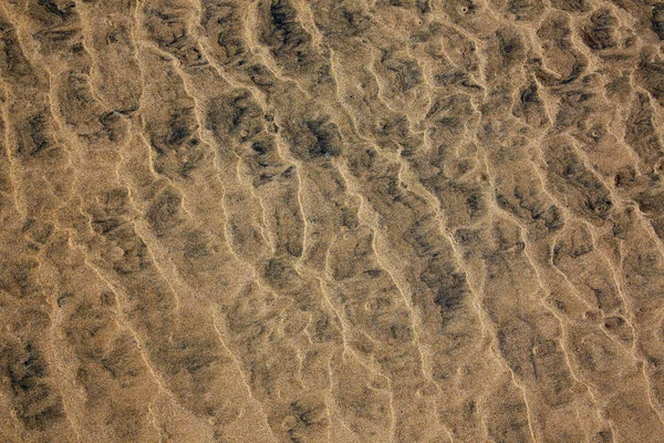 Beach sand texture Fuerteventura Canary Islands — Stock Photo, Image