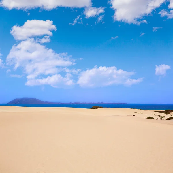 Corralejo dunes Fuerteventura ada çöl — Stok fotoğraf