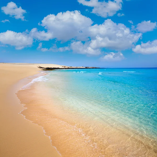 Παραλία Corralejo Φουερτεβεντούρα σε Κανάριοι Νήσοι — Φωτογραφία Αρχείου