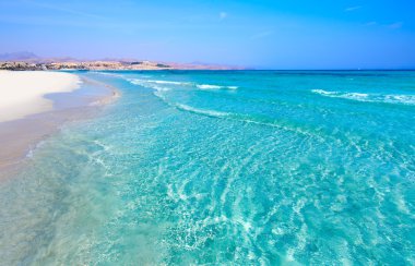 Costa Calma beach Jandia Fuerteventura