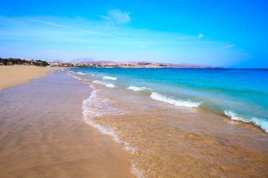 Costa Calma beach Jandia Fuerteventura