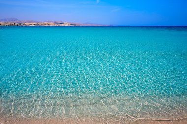 Costa Calma beach Jandia Fuerteventura
