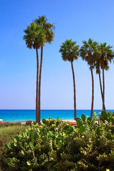 Costa Calma strand van Jandia Fuerteventura — Stockfoto