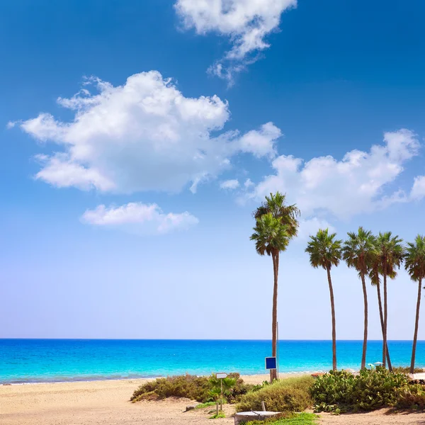 Costa Calma beach of Jandia Fuerteventura — Stock Photo, Image