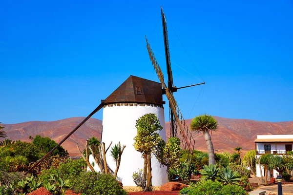 Moinho de vento de Antígua Fuerteventura nas Ilhas Canárias — Fotografia de Stock