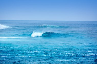 Jandia Fuerteventura beach dalgalarda sörf