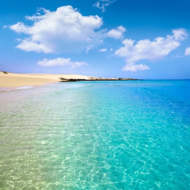 Corralejo Beach Fuerteventura, Kanarya Adaları