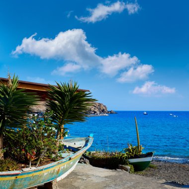 Taralejo plaj Fuerteventura, Kanarya Adaları