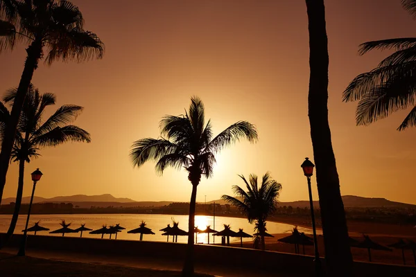 Fuerteventura Caleta del Fuste Canarischeeilanden — Stockfoto