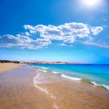 Costa Calma beach Jandia Fuerteventura